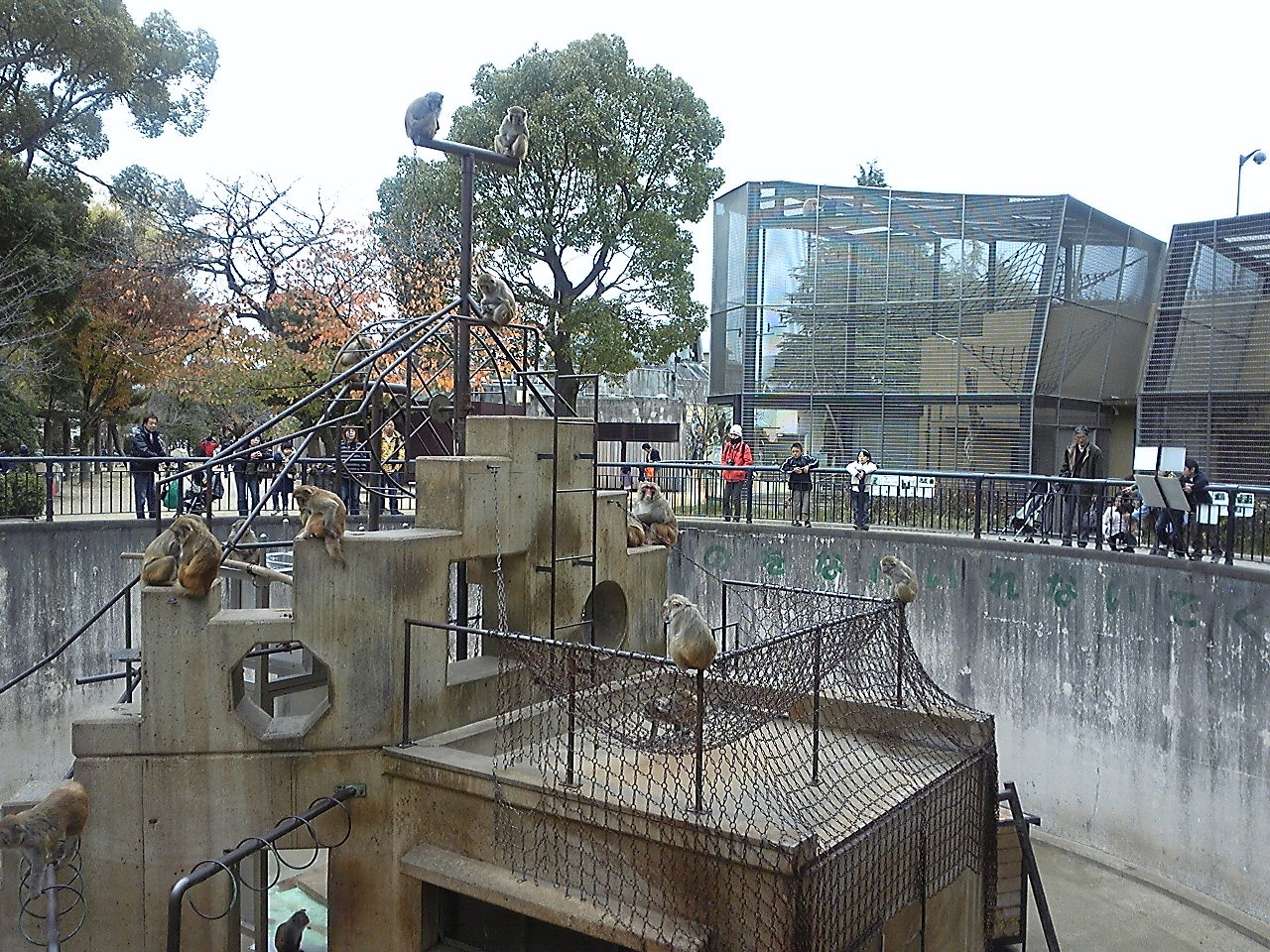 f:id:zoroinu:20101128142235j:image:w400 f:id:zoroinu:20101128142235j:image:w400