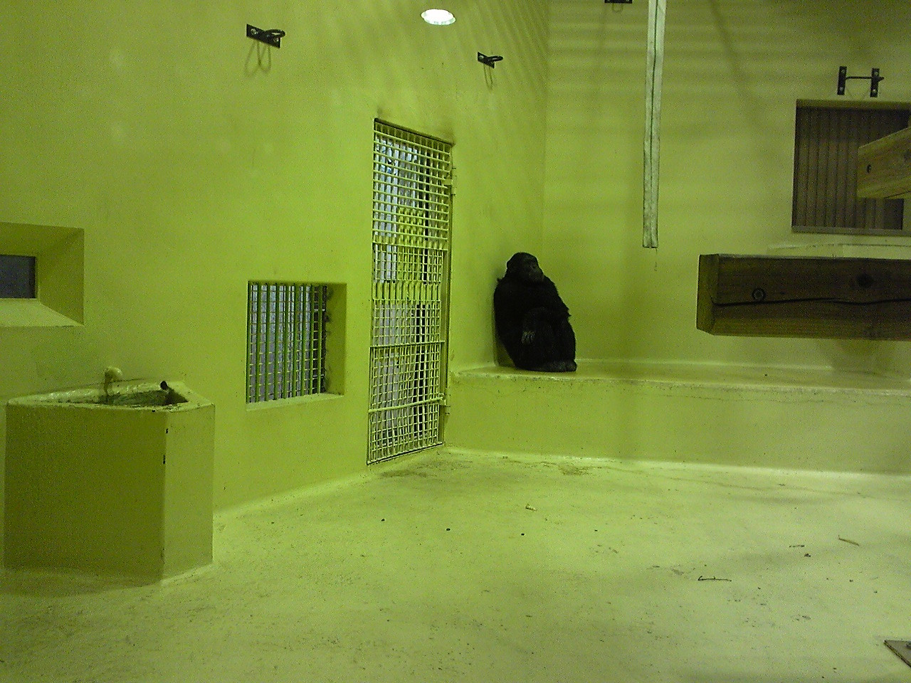 f:id:zoroinu:20101128143717j:image:w400 f:id:zoroinu:20101128143717j:image:w400