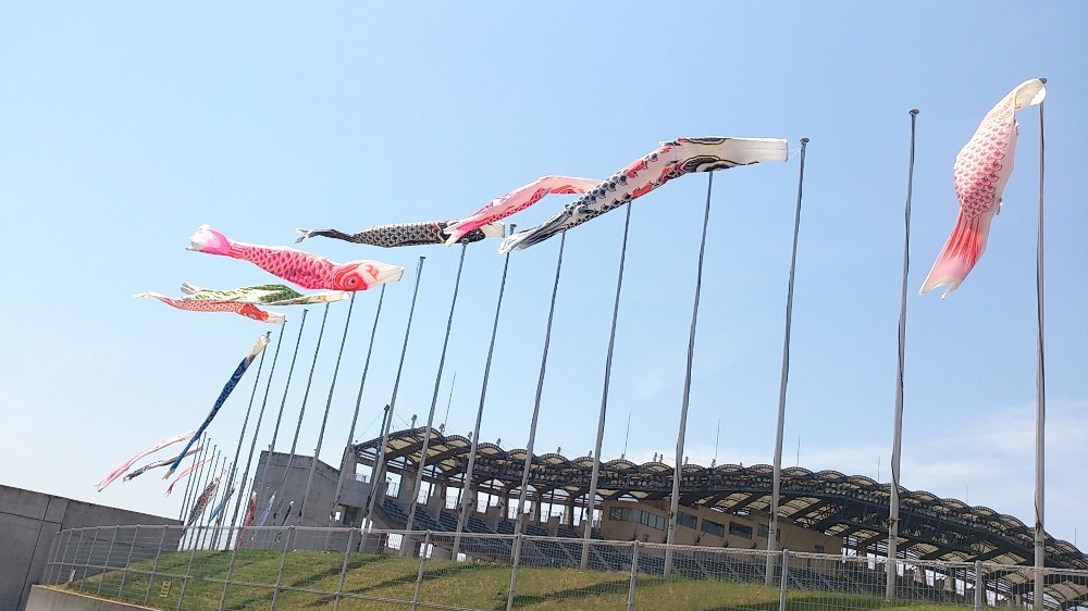 f:id:zoroinu:20140507000856j:image:w500 f:id:zoroinu:20140507000856j:image:w500