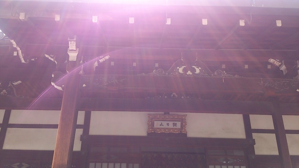 f:id:zoroinu:20140712002520j:image:w250 f:id:zoroinu:20140712002520j:image:w250