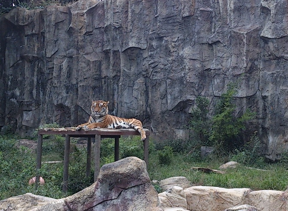 とべ動物園