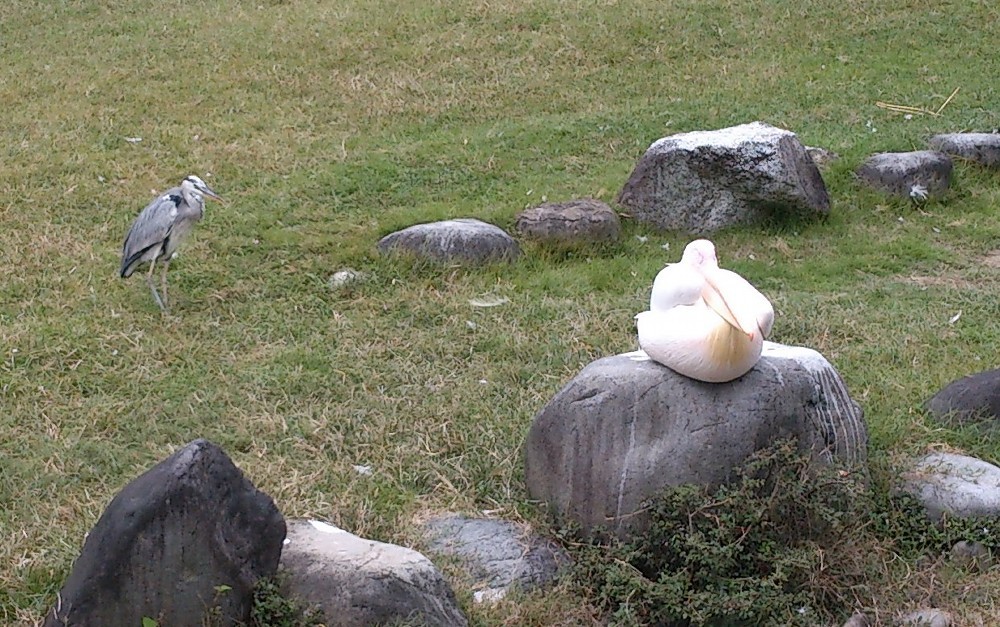 とべ動物園