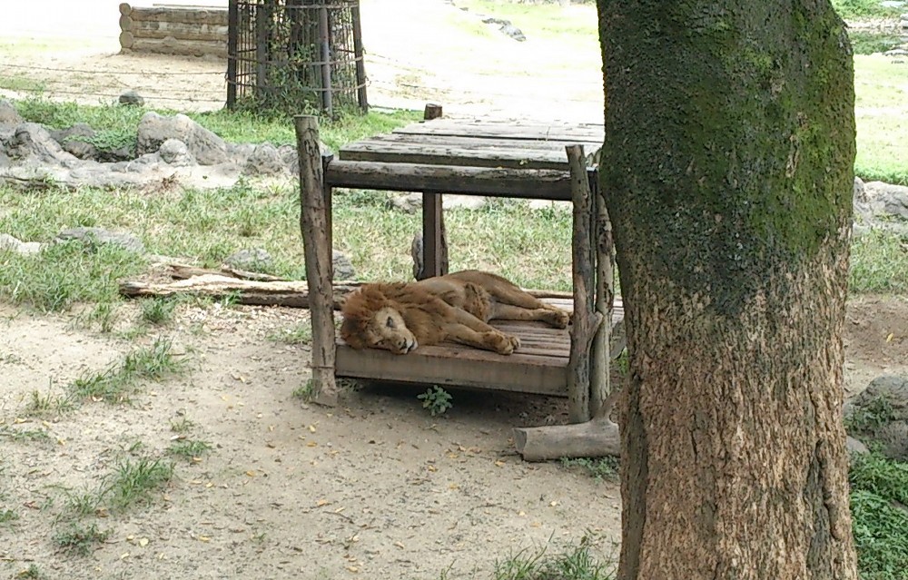 とべ動物園