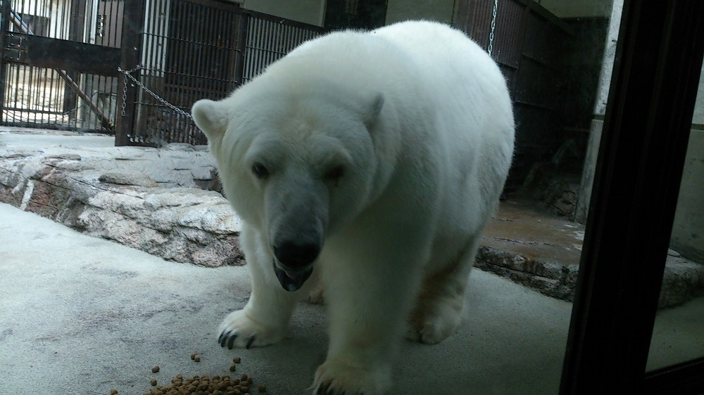 とべ動物園