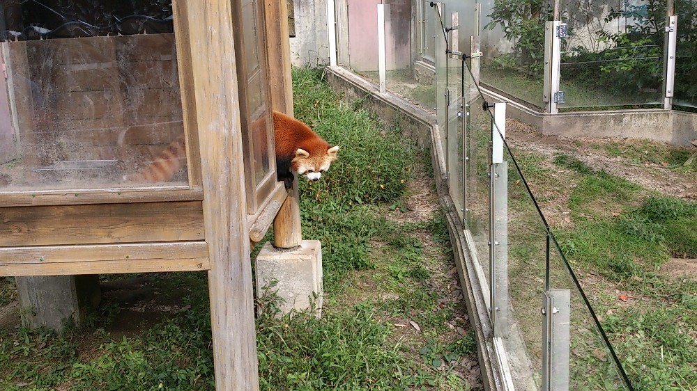 f:id:zoroinu:20151002000726j:image:w500 f:id:zoroinu:20151002000726j:image:w500