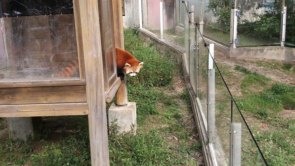 とべ動物園