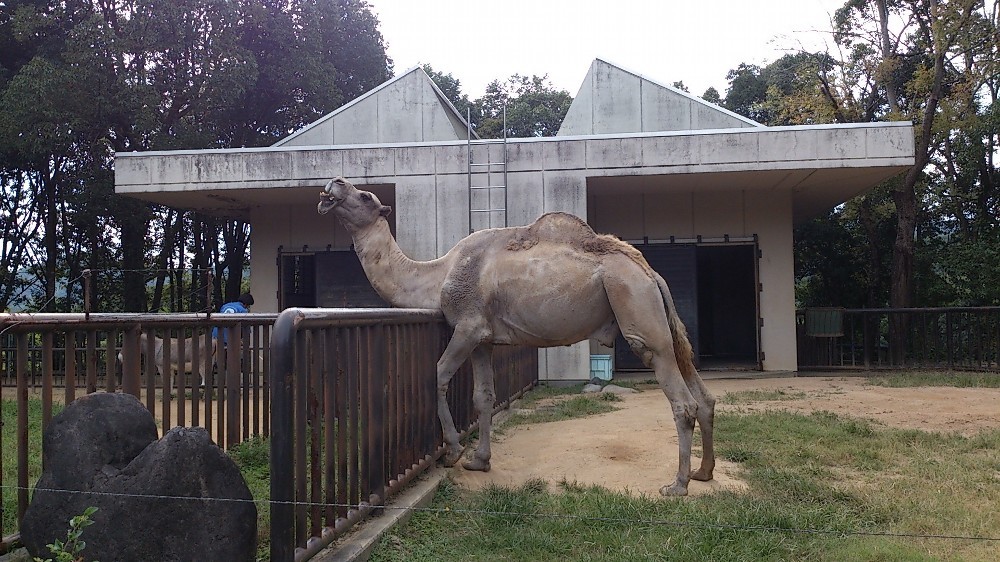 とべ動物園