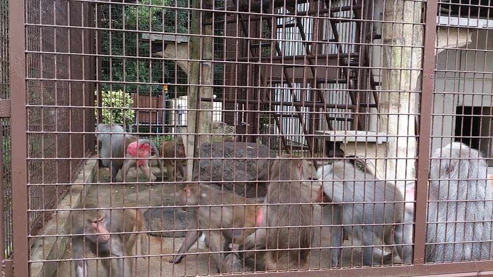 とべ動物園