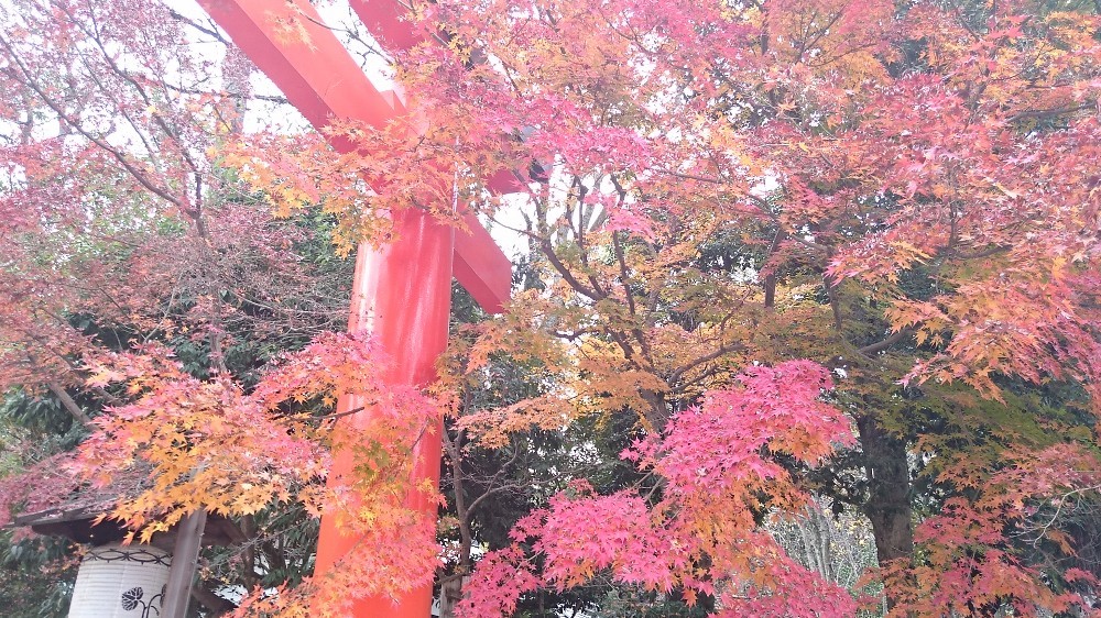 下鴨神社