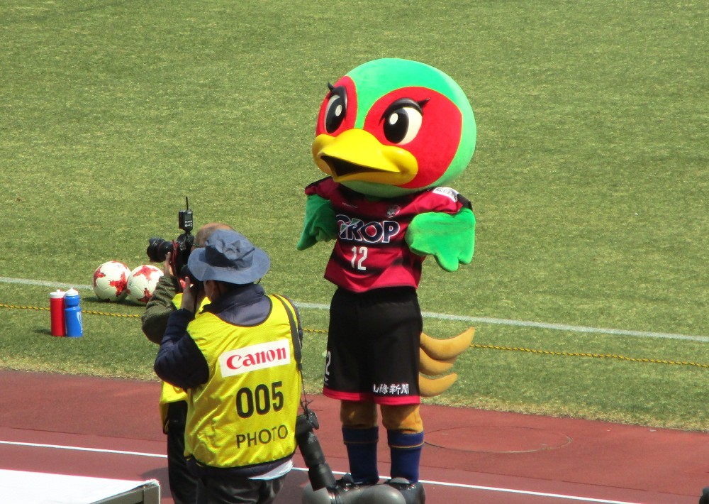f:id:zoroinu:20170321012908j:image:w500 f:id:zoroinu:20170321012908j:image:w500
