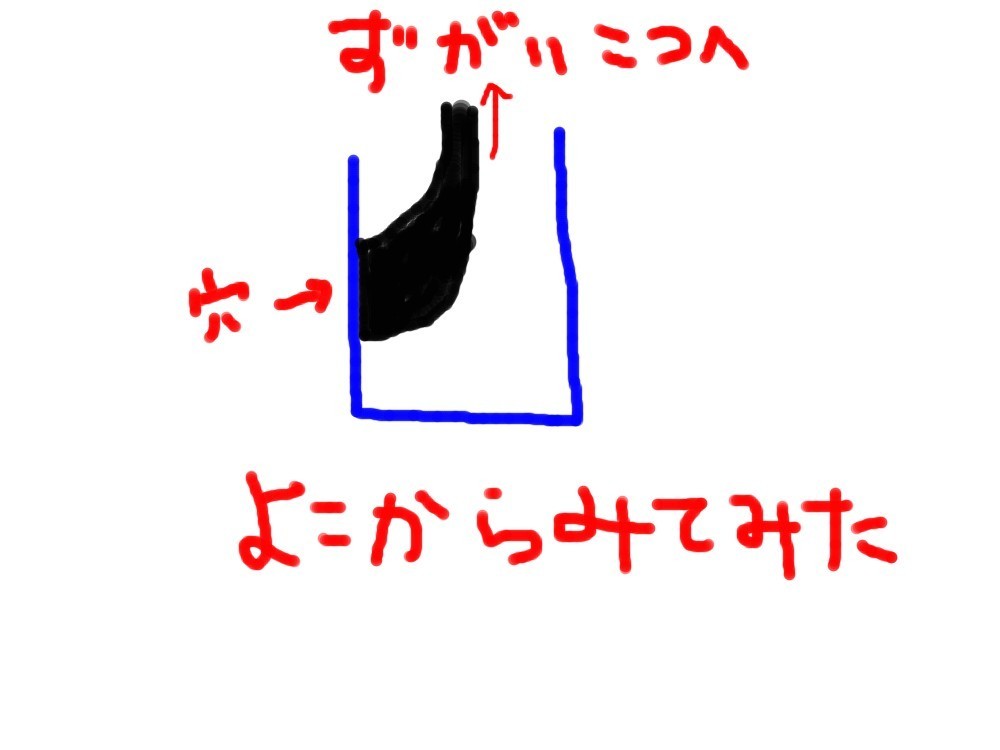 f:id:zoroinu:20170728000716j:image:w500 f:id:zoroinu:20170728000716j:image:w500