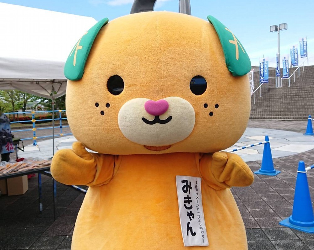 f:id:zoroinu:20180418184335j:image:w500 f:id:zoroinu:20180418184335j:image:w500