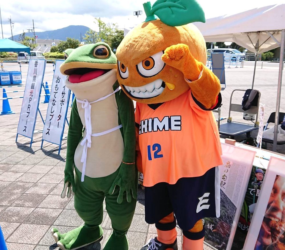 f:id:zoroinu:20180418185509j:image:w500 f:id:zoroinu:20180418185509j:image:w500
