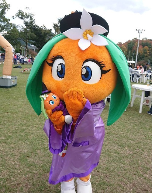 f:id:zoroinu:20181030162216j:image:w400