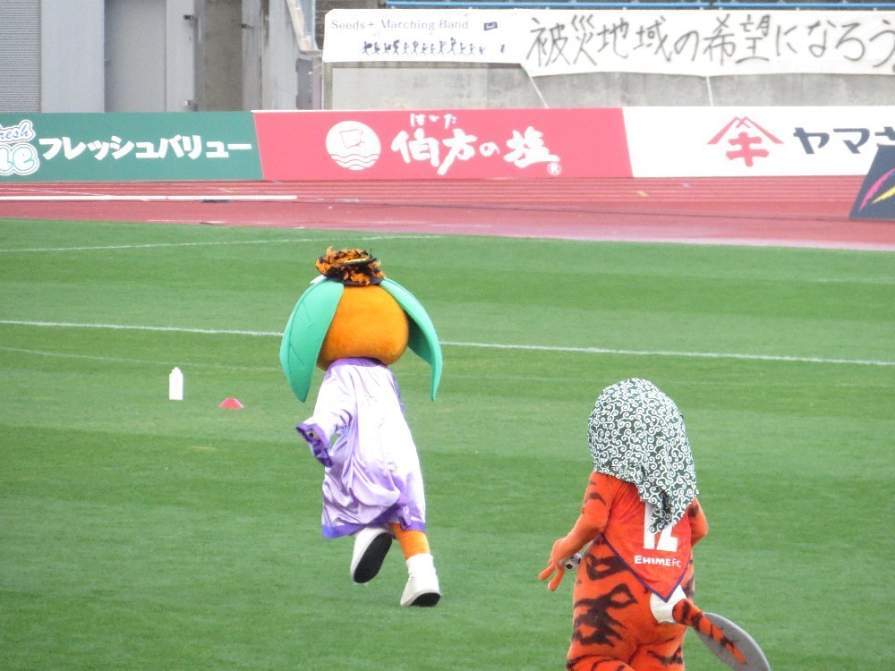 たま媛ちゃん