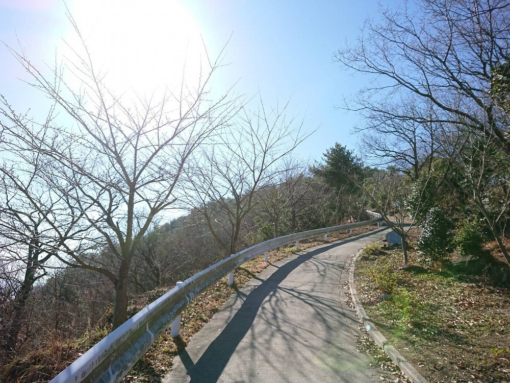 f:id:zoroinu:20190120235944j:plain:w500 f:id:zoroinu:20190120235944j:plain:w500