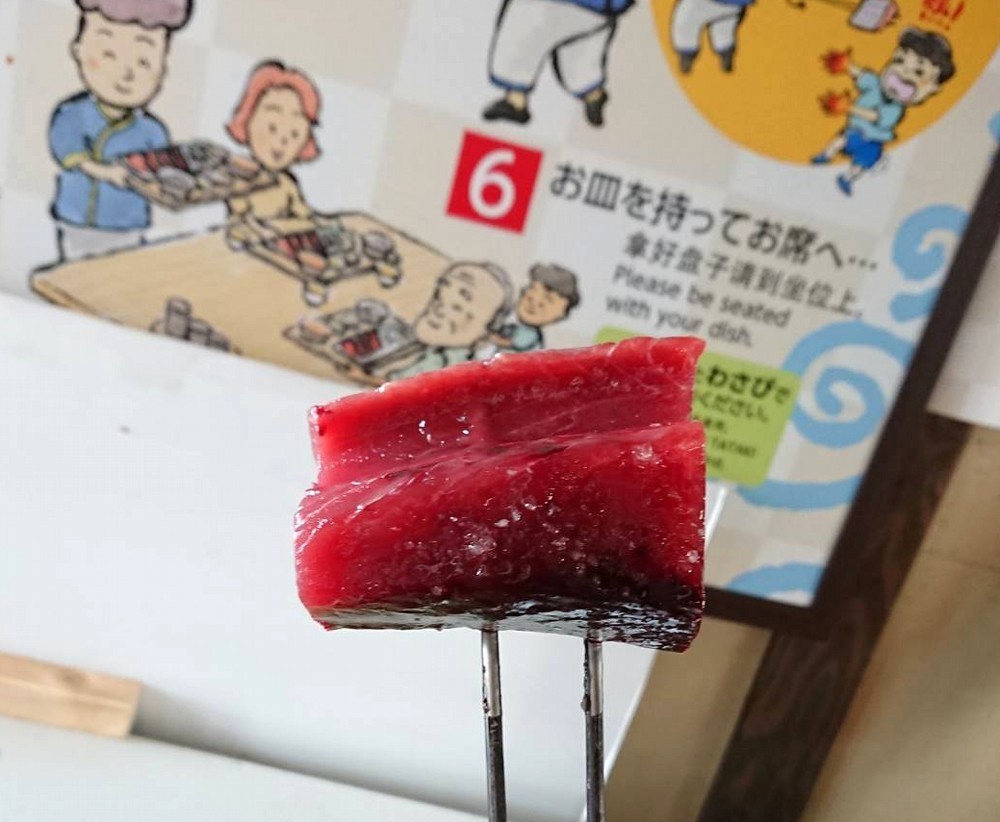 f:id:zoroinu:20190226000918j:plain:w500 f:id:zoroinu:20190226000918j:plain:w500
