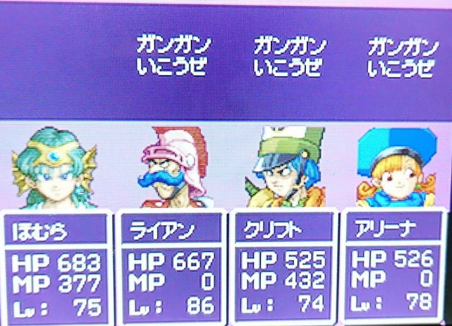 f:id:zoroinu:20190528014009j:plain:w500 f:id:zoroinu:20190528014009j:plain:w500