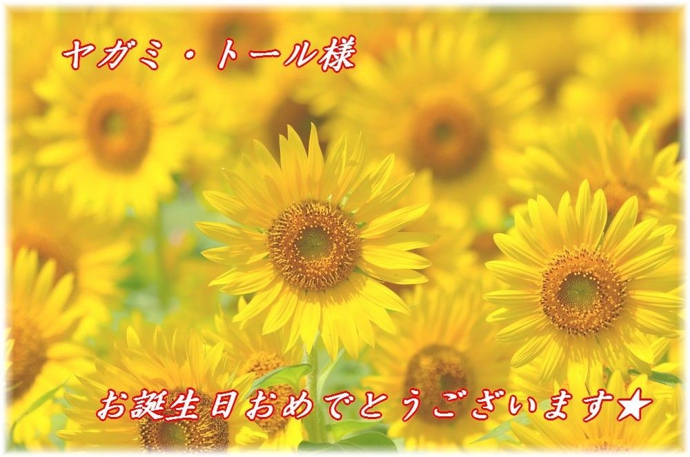 f:id:zoroinu:20190819175807j:plain:w500 f:id:zoroinu:20190819175807j:plain:w500
