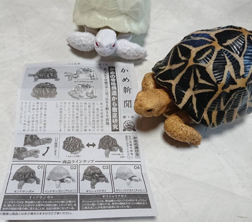 f:id:zoroinu:20191231002620j:plain:w500 f:id:zoroinu:20191231002620j:plain:w500