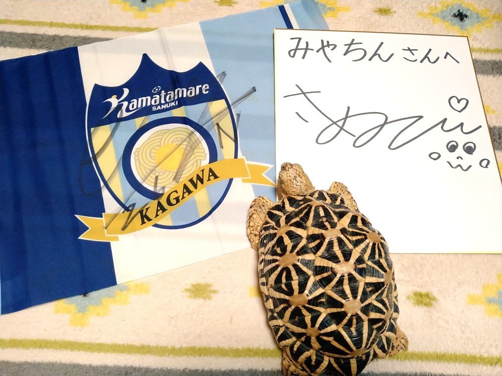 f:id:zoroinu:20200825235401j:plain:w500 f:id:zoroinu:20200825235401j:plain:w500