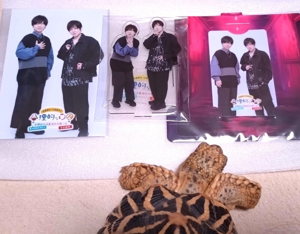 寺島惇太・小松昌平の合理的な寺島惇太の祝い方 - 悪魔と天使と快楽主義者