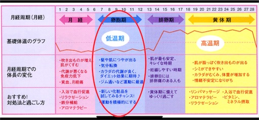 f:id:zoronanaband112:20180528130833j:image f:id:zoronanaband112:20180528130833j:image