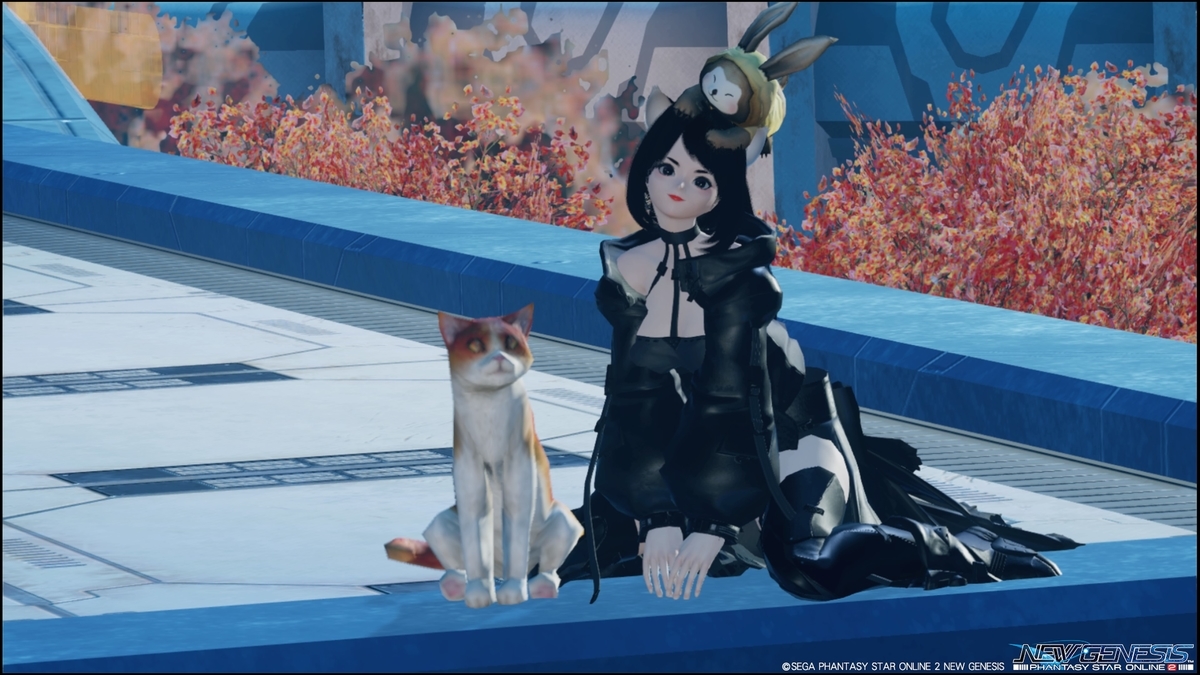 f:id:zounosnos:20210919121337j:plain