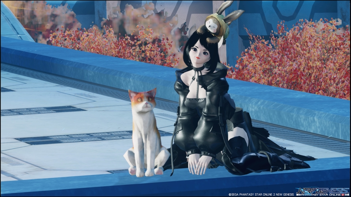 f:id:zounosnos:20210919121423j:plain