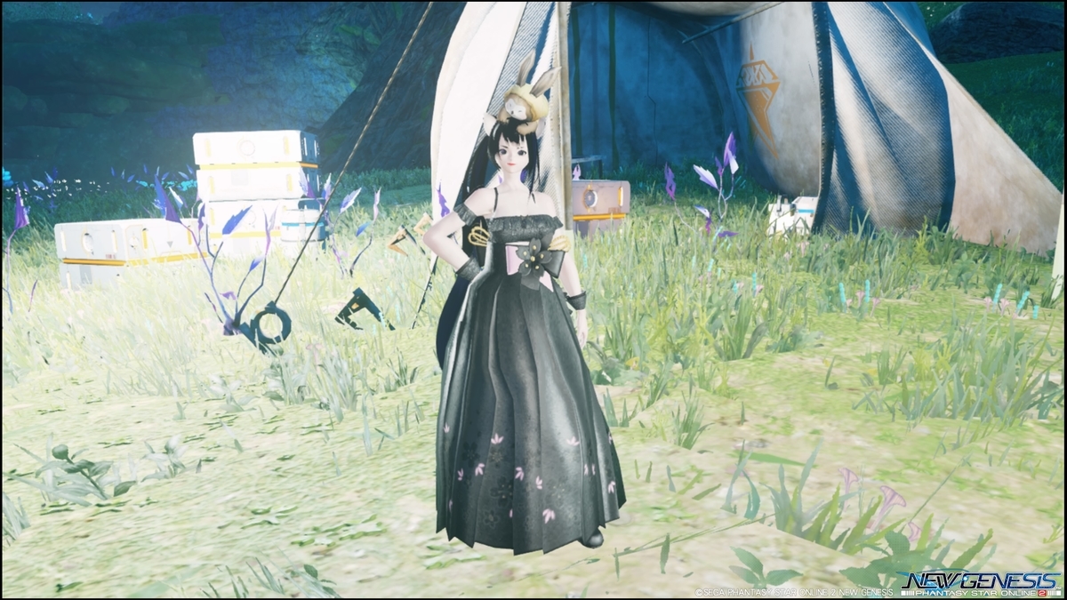 f:id:zounosnos:20211205115447j:plain