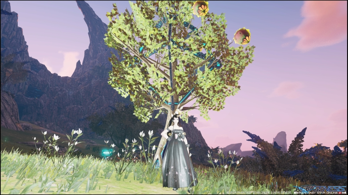 f:id:zounosnos:20211205115638j:plain