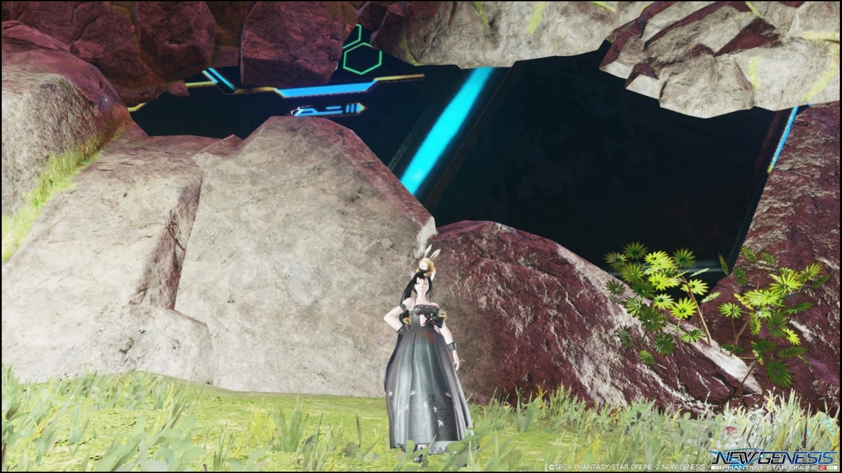 f:id:zounosnos:20211205120057j:plain