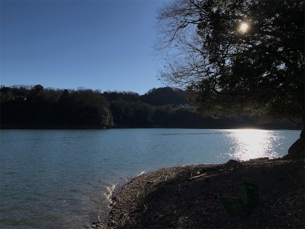 f:id:zousantsurezure:20190112205053j:image