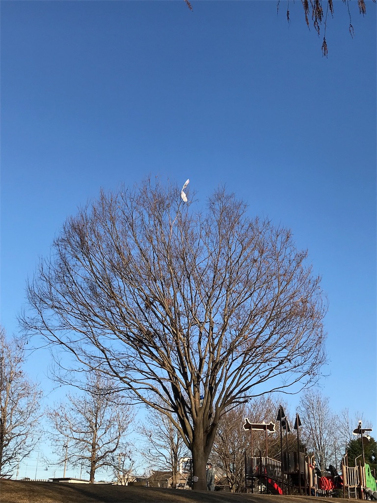 f:id:zousantsurezure:20190112210840j:image
