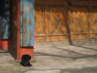 f:id:zow13:20120303134352j:image f:id:zow13:20120303134352j:image