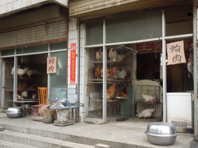 f:id:zow13:20120303155939j:image f:id:zow13:20120303155939j:image