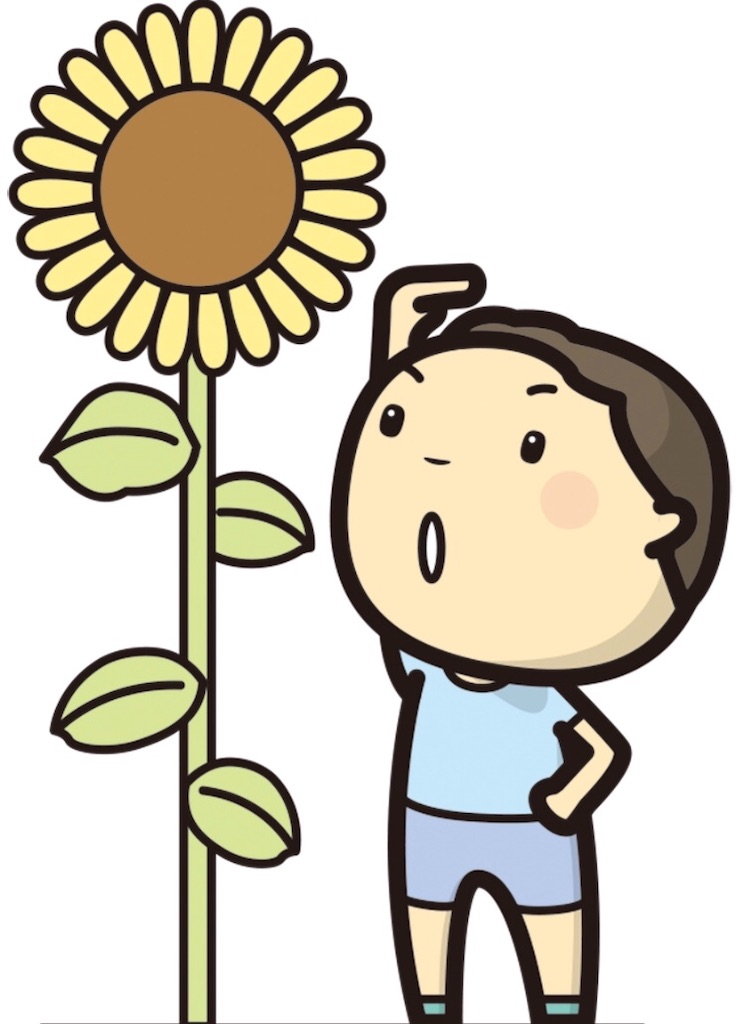 f:id:zpcsdy888:20191010185902j:image f:id:zpcsdy888:20191010185902j:image