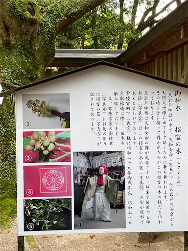 f:id:zrinrinrin:20210530194946j:plain