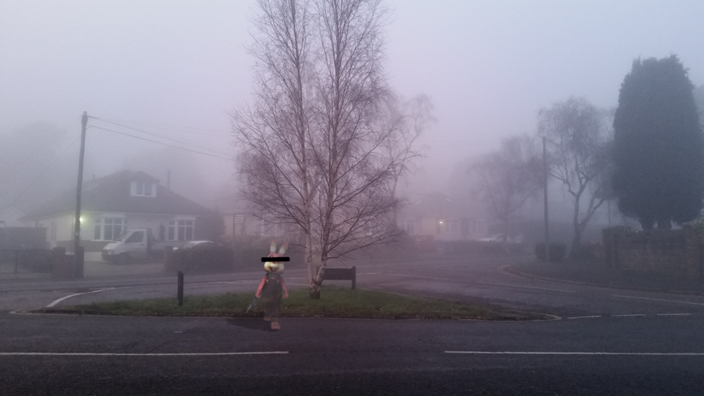 f:id:zrzrsan:20170125074742p:plain