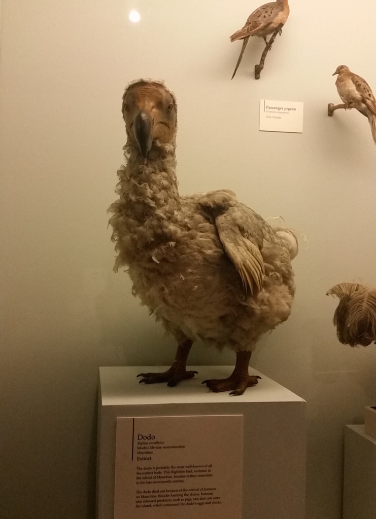 f:id:zrzrsan:20170130083727j:plain f:id:zrzrsan:20170130083727j:plain