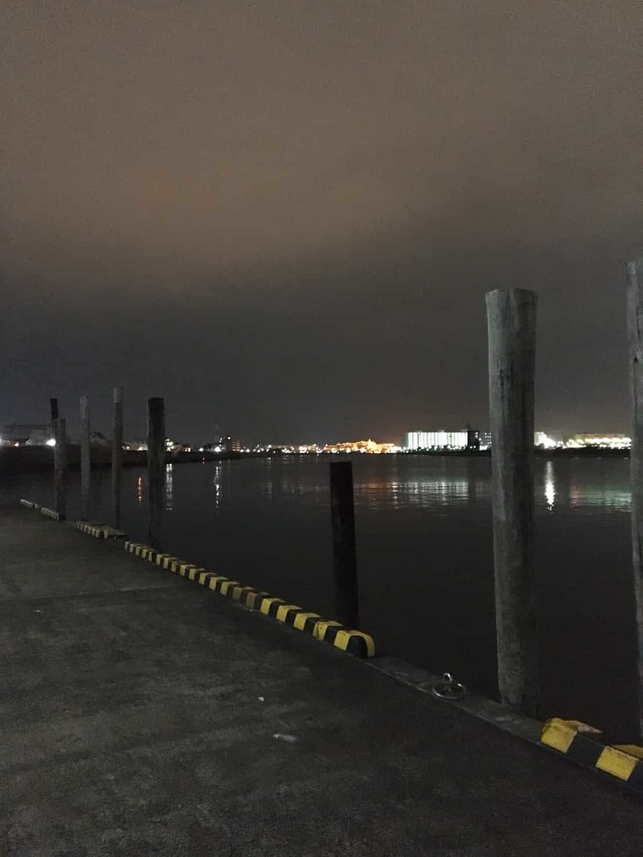 旧江戸川 バチパターンでシーバス70up 東京釣り紀行