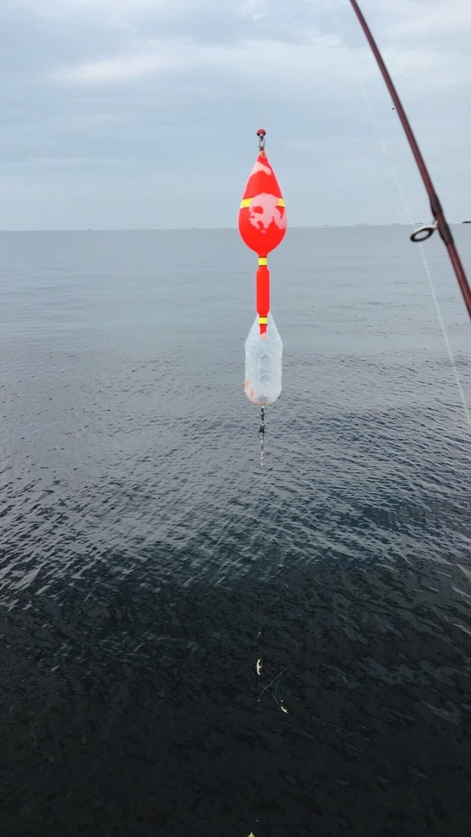 検見川浜 サッパ回遊中 30匹ゲット 東京釣り紀行