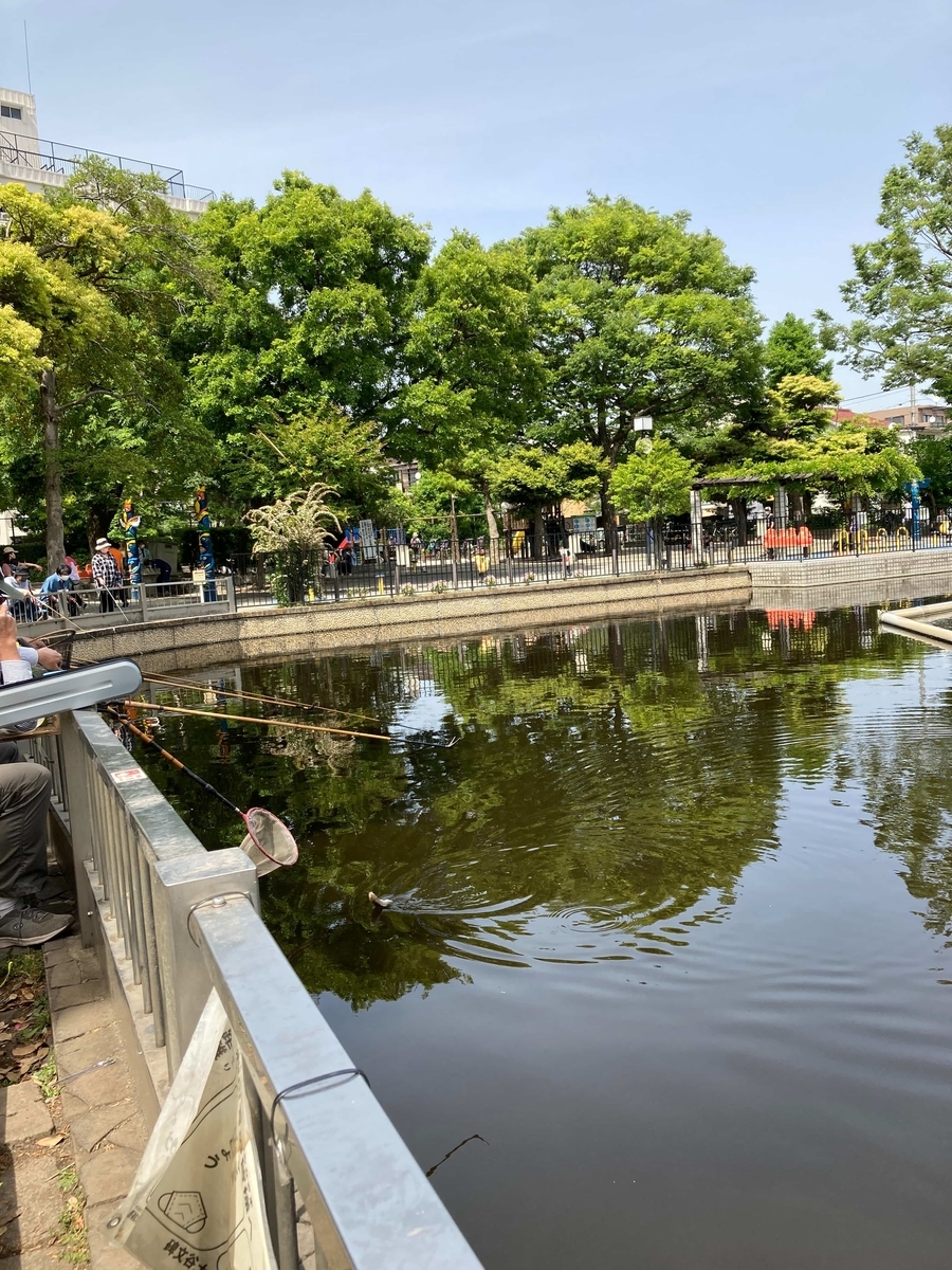 清水池公園釣り