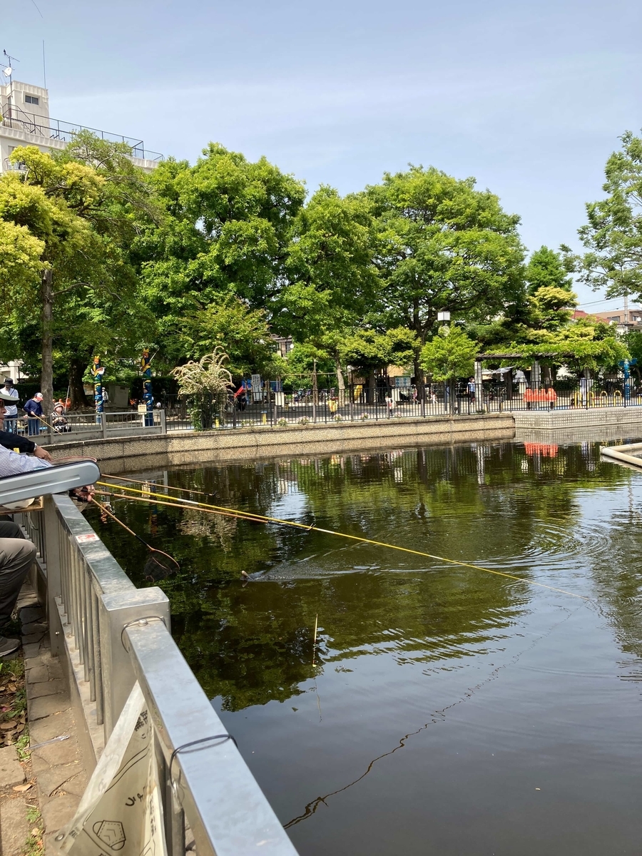 清水池公園釣り