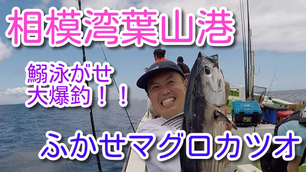 相模湾葉山港カツオ祭り