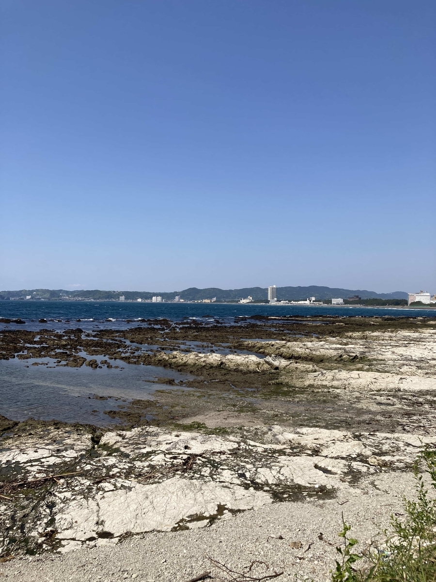 鴨川磯釣り