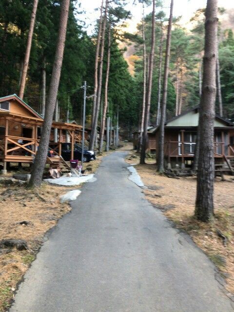 f:id:zubora_mom:20171120075818j:plain f:id:zubora_mom:20171120075818j:plain