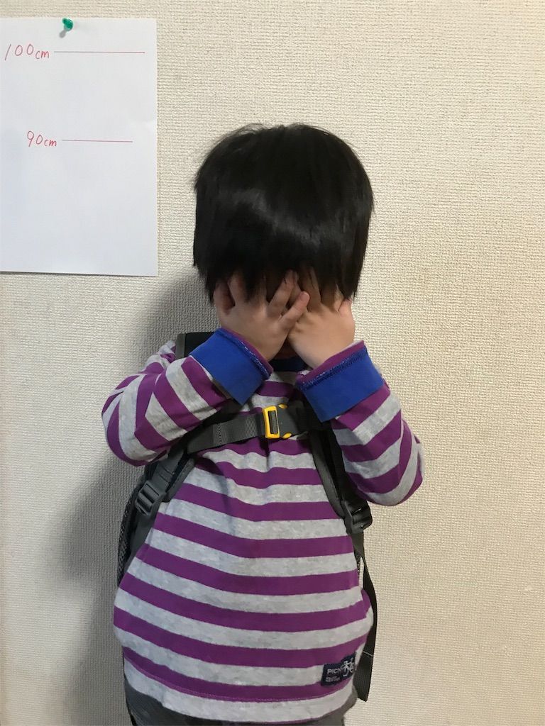 f:id:zubora_mom:20180212092524j:plain f:id:zubora_mom:20180212092524j:plain