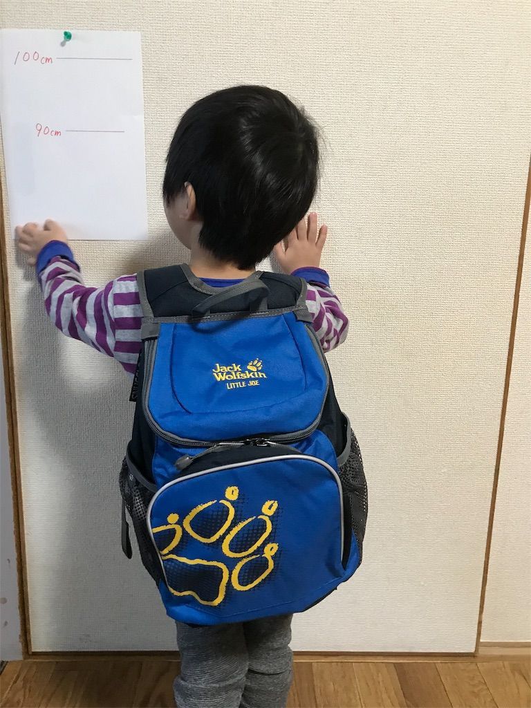 f:id:zubora_mom:20180212092550j:plain f:id:zubora_mom:20180212092550j:plain