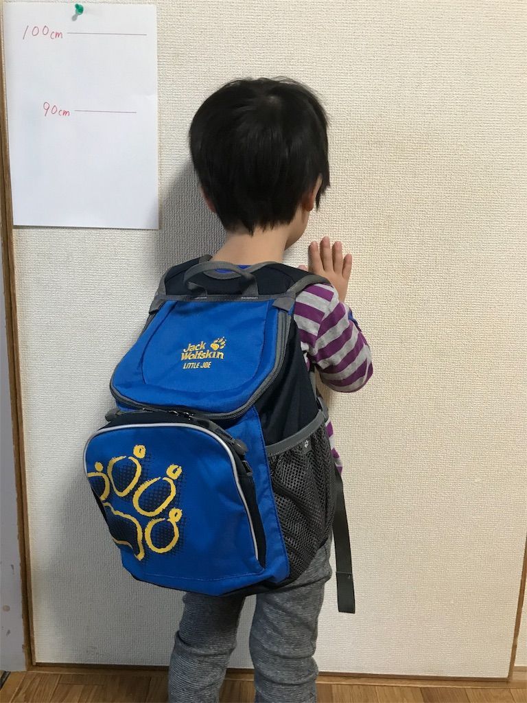 f:id:zubora_mom:20180212092603j:plain f:id:zubora_mom:20180212092603j:plain